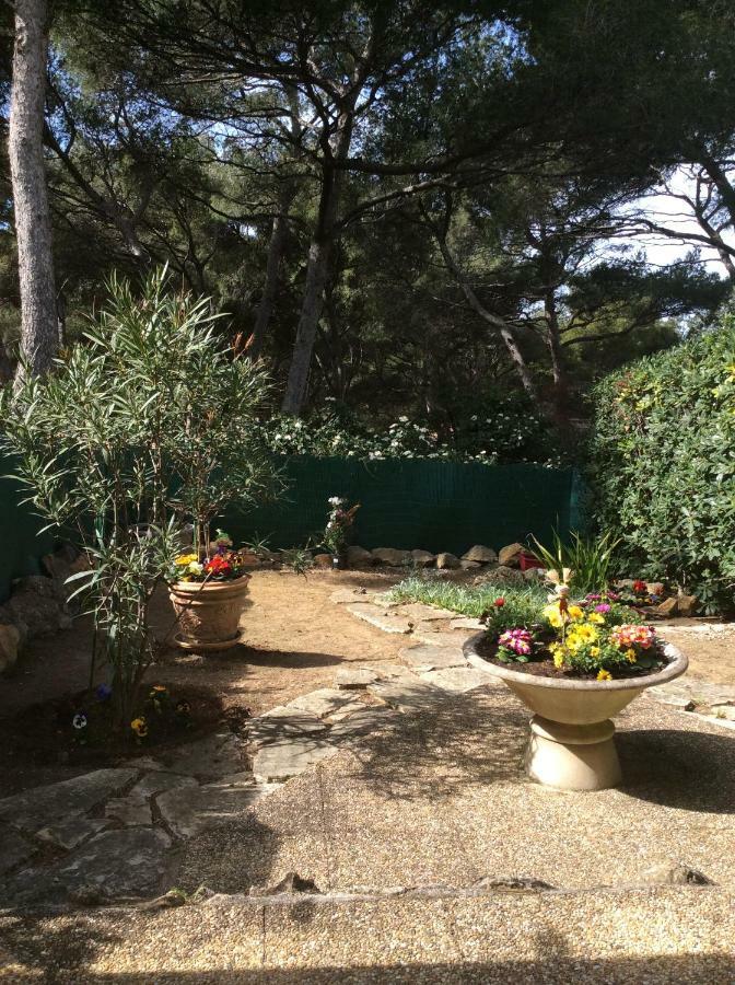 T2 Rez De Jardin 300M Plage De Beaucours Sanary Sur Mer Exteriér fotografie